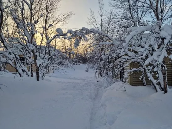 Огни Мурманска